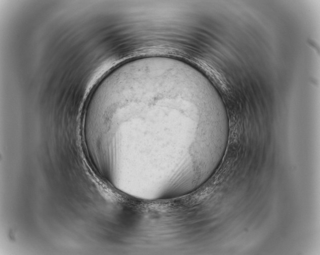 X0000096441086200802071743