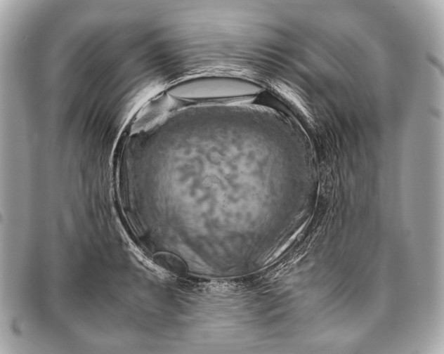 X0000096441087200802071743