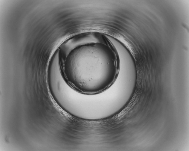 X0000096441088200802071743