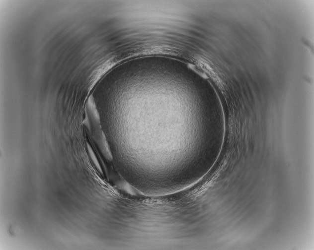 X0000096441089200802071743