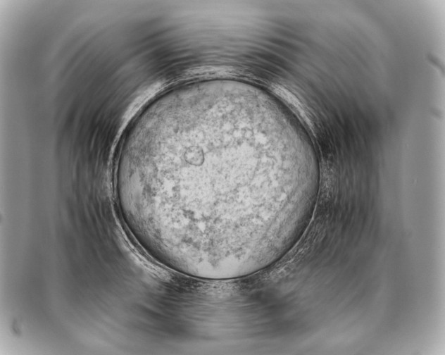 X0000096441090200802071743