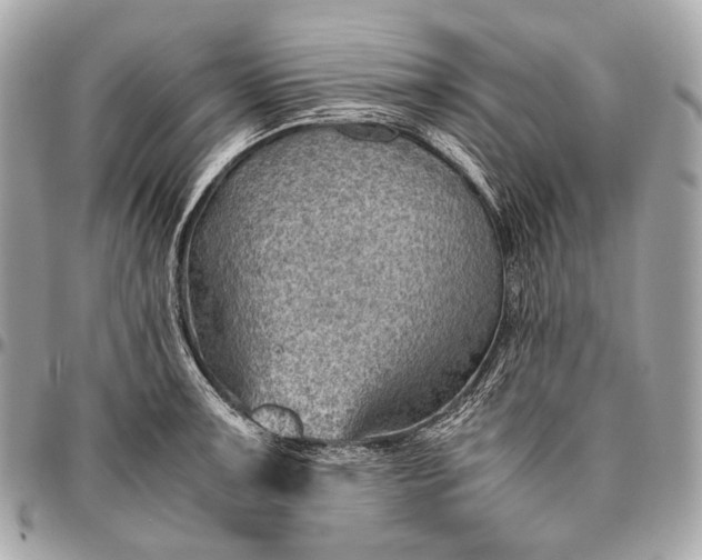 X0000096441091200802071743