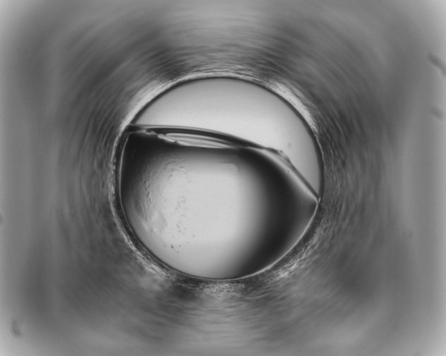 X0000096441093200802071742