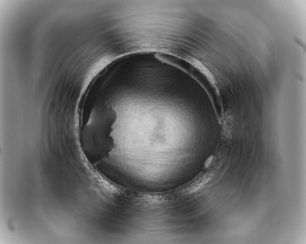 X0000096441096200802071742