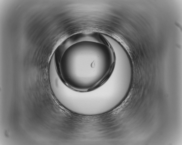 X0000096441097200802071742