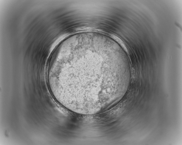 X0000096441098200802071742