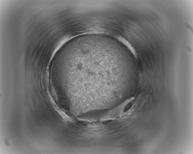 X0000096441099200802071742