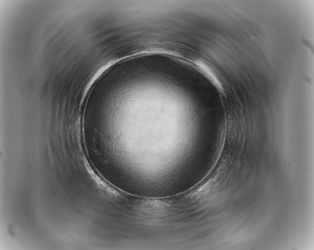 X0000096441100200802071742