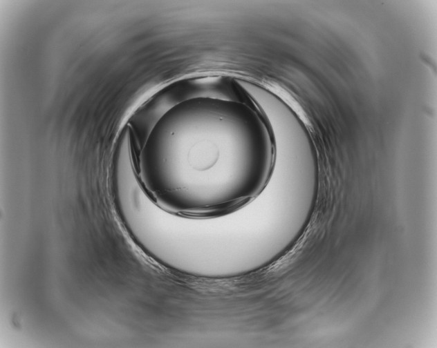 X0000096441101200802071742