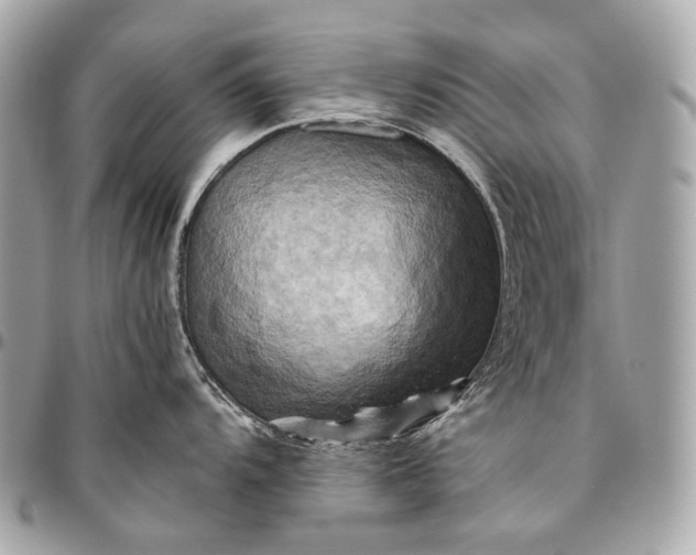 X0000096441104200802071742