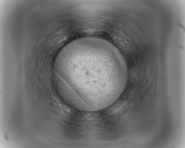 X0000096441105200802071742