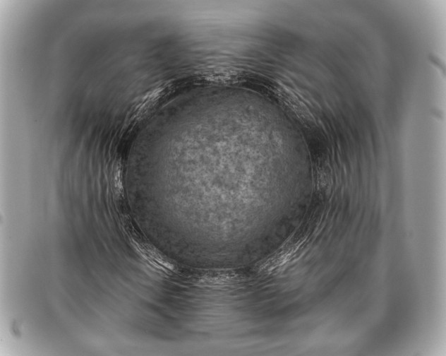 X0000096441106200802071742