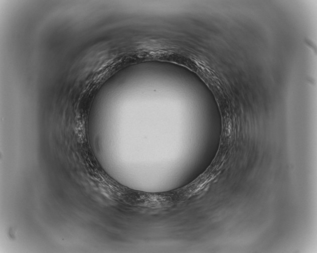 X0000096441109200802071742