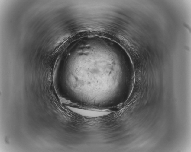 X0000096441110200802071742