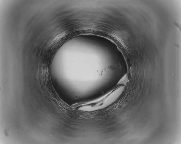 X0000096441111200802071742