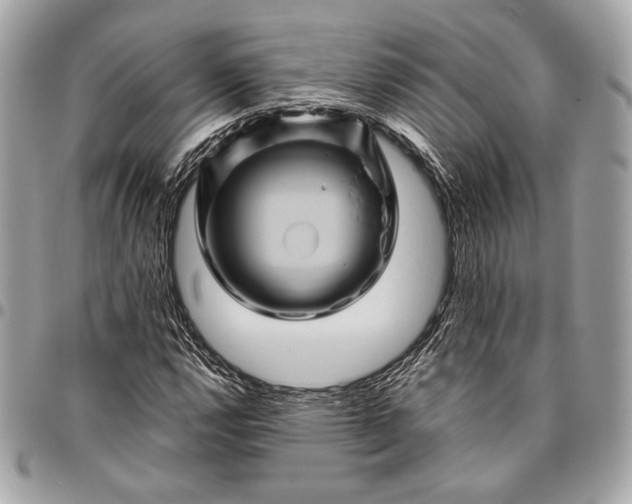 X0000096441112200802071742