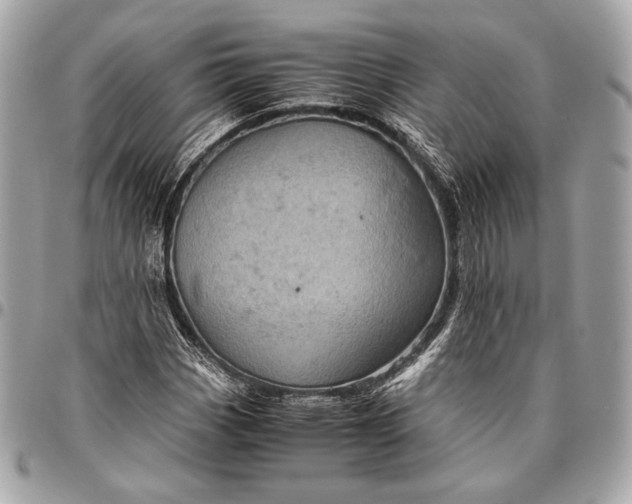 X0000096441113200802071742