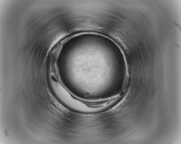 X0000096441114200802071742