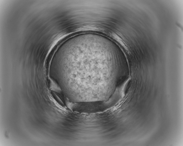 X0000096441116200802071742