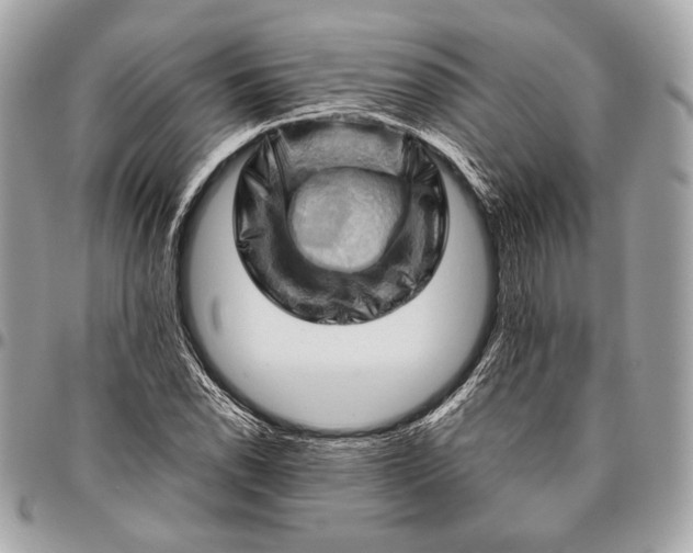 X0000096441118200802071742