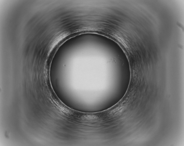 X0000096441119200802071742