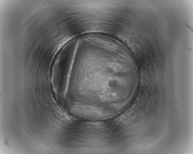 X0000096441121200802071742