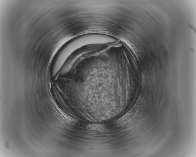 X0000096441123200802071742