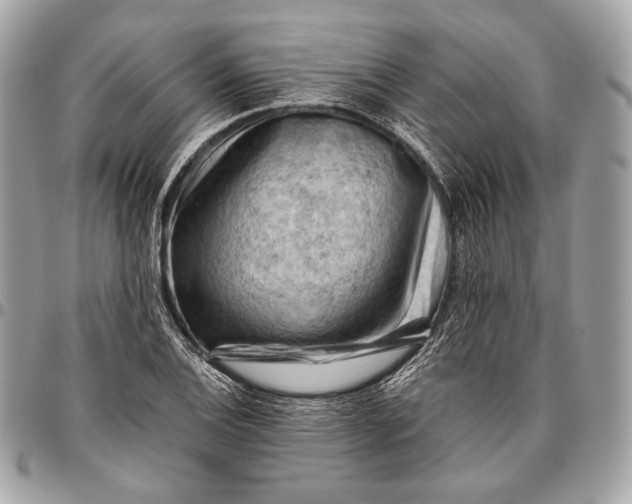 X0000096441124200802071742