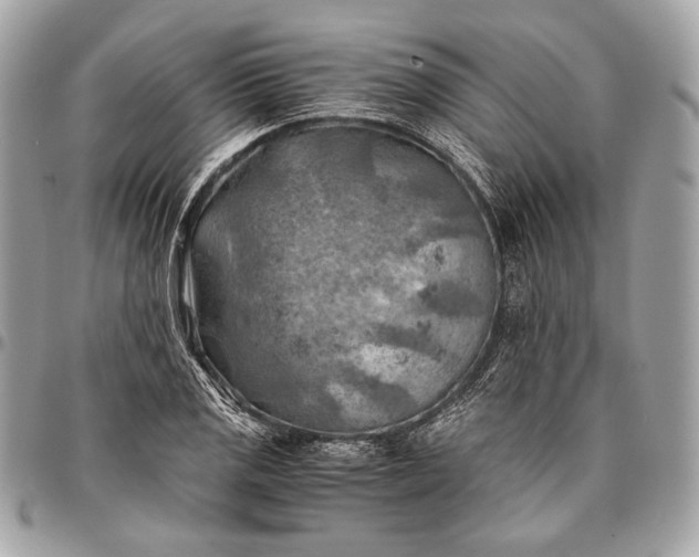 X0000096441125200802071742