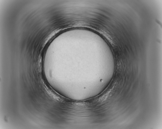 X0000096441126200802071742