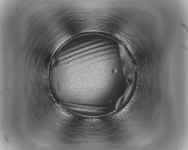 X0000096441129200802071742