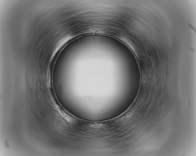 X0000096441131200802071742