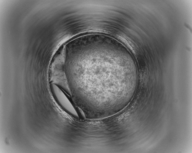 X0000096441133200802071742