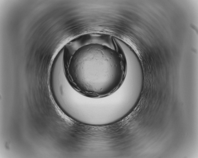 X0000096441136200802071742