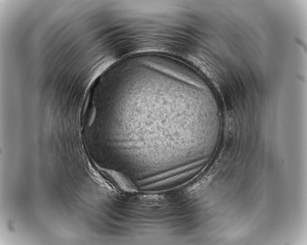 X0000096441137200802071742