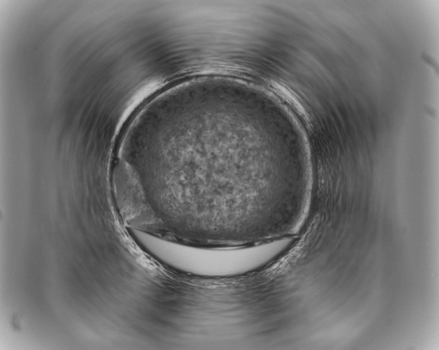 X0000096441138200802071742