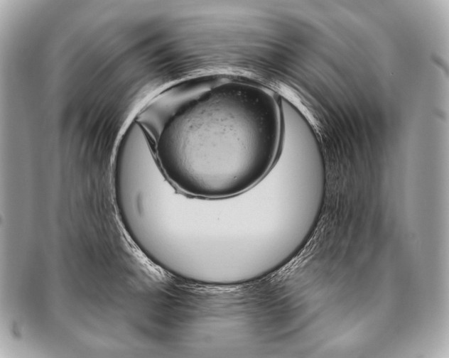 X0000096441140200802071742