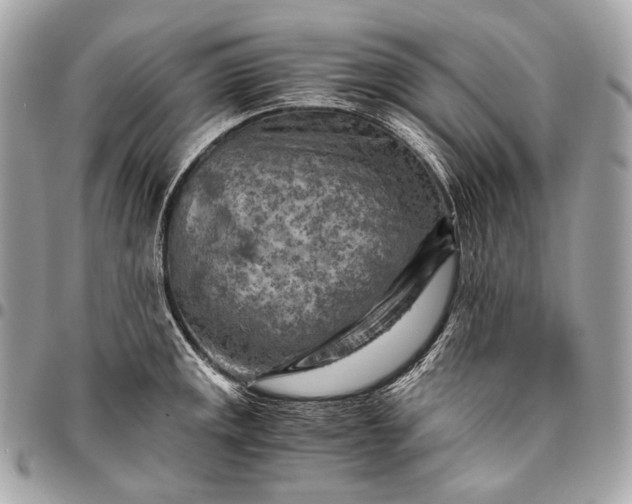 X0000096441141200802071742