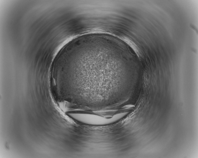 X0000096441142200802071742