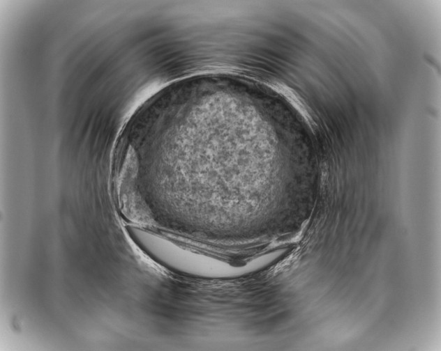 X0000096441143200802071742