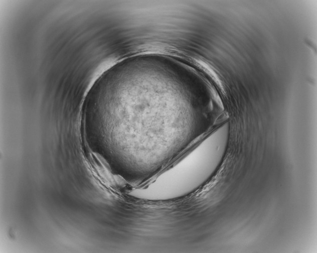 X0000096441146200802071742