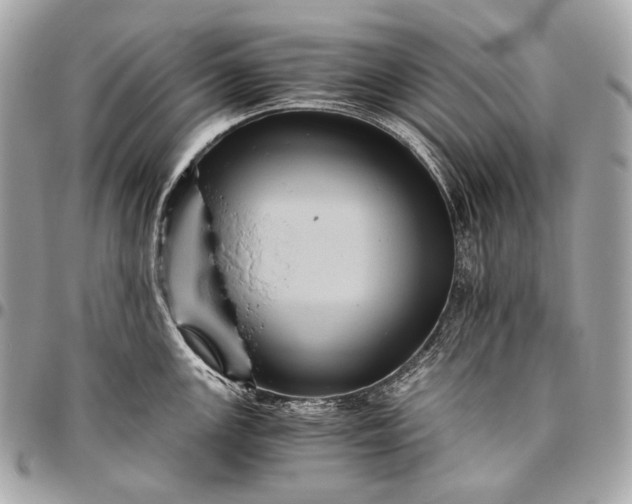 X0000096441147200802071742