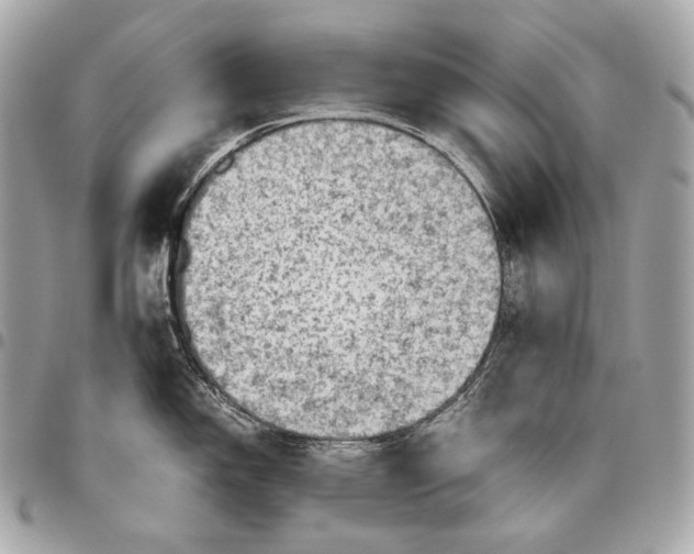 X0000096441150200802071742