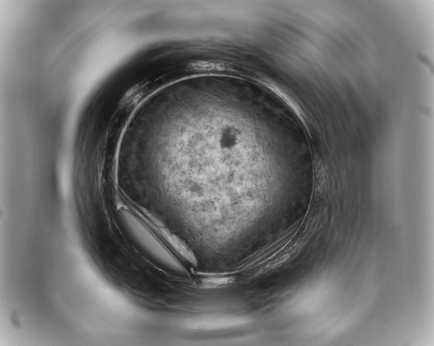 X0000096441151200802071742