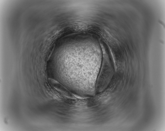 X0000096441153200802071742