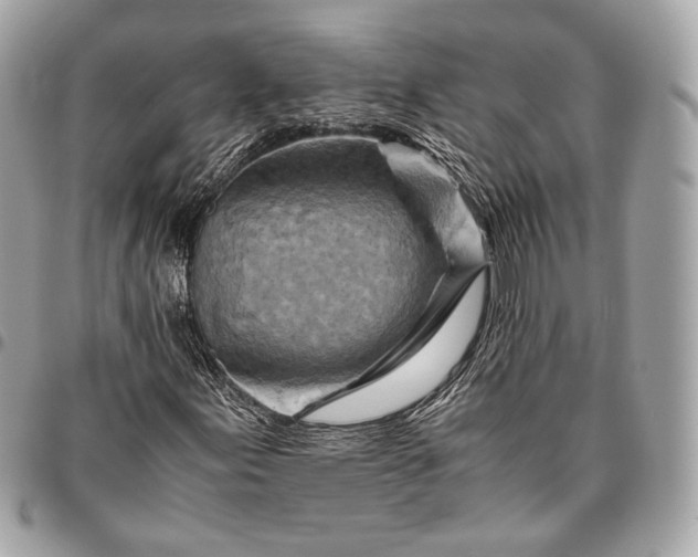 X0000096441155200802071742