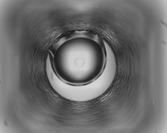 X0000096441156200802071742