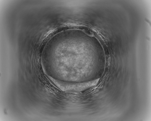 X0000096441157200802071742