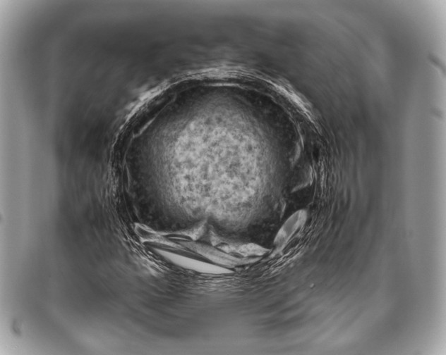 X0000096441160200802071742