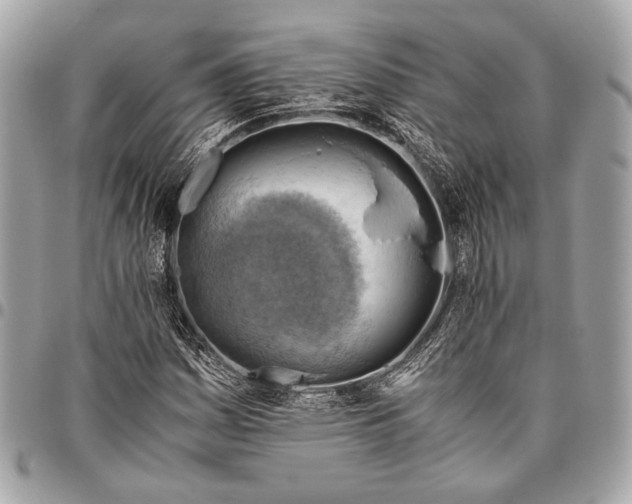 X0000096441161200802071742